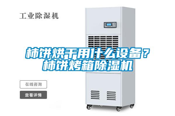 柿饼烘干用什么设备？柿饼烤箱精品一区二区三区水蜜桃