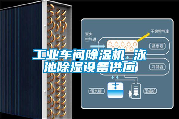 工业车间精品一区二区三区水蜜桃 泳池除湿设备供应