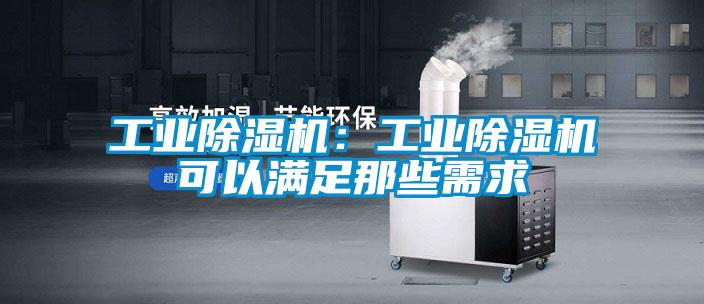 工业精品一区二区三区水蜜桃：工业精品一区二区三区水蜜桃可以满足那些需求