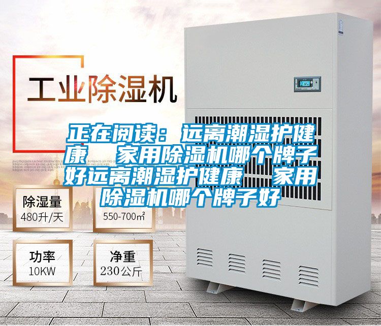 正在阅读：远离潮湿护健康  家用精品一区二区三区水蜜桃哪个牌子好远离潮湿护健康  家用精品一区二区三区水蜜桃哪个牌子好