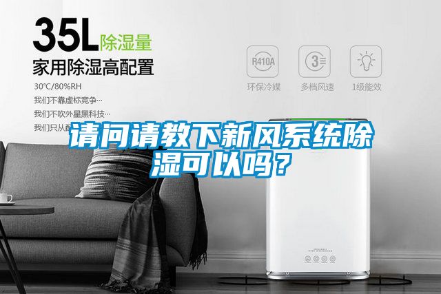 请问请教下新风系统除湿可以吗？