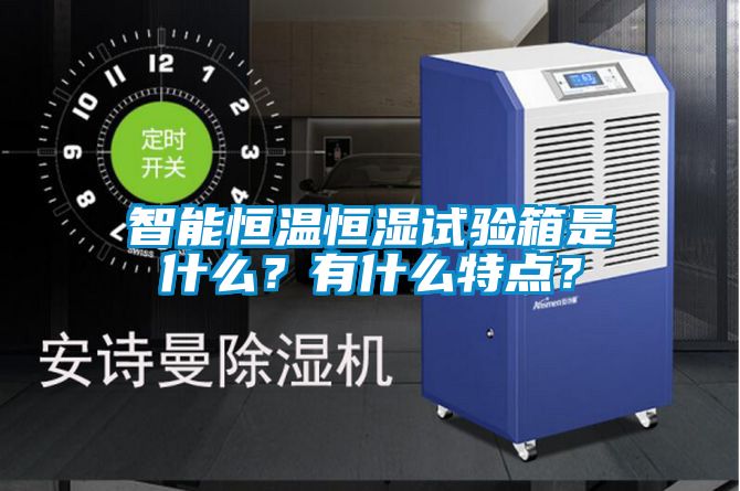 智能恒温恒湿试验箱是什么？有什么特点？