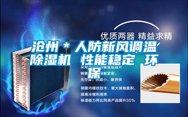 沧州＊人防新风调温精品一区二区三区水蜜桃 性能稳定 环保