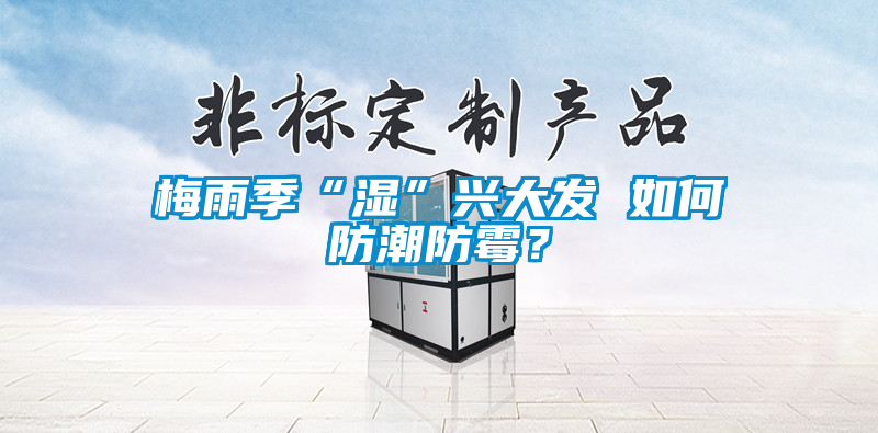 梅雨季“湿”兴大发 如何防潮防霉？