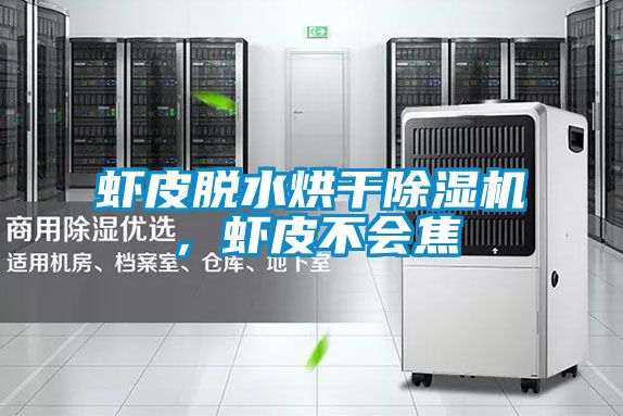 虾皮脱水烘干精品一区二区三区水蜜桃，虾皮不会焦