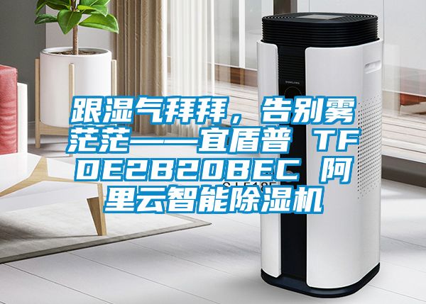 跟湿气拜拜，告别雾茫茫——宜盾普 TFDE2B20BEC 阿里云智能精品一区二区三区水蜜桃
