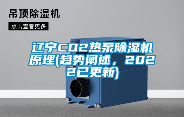 辽宁CO2热泵精品一区二区三区水蜜桃原理(趋势阐述，2022已更新)