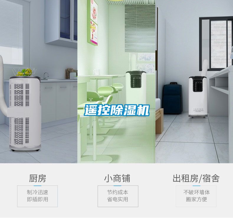 遥控精品一区二区三区水蜜桃