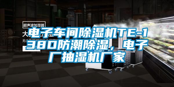 电子车间精品一区二区三区水蜜桃TE-138D防潮除湿，电子厂抽湿机厂家