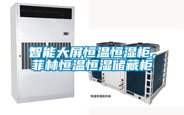 智能大屏恒温恒湿柜，菲林恒温恒湿储藏柜