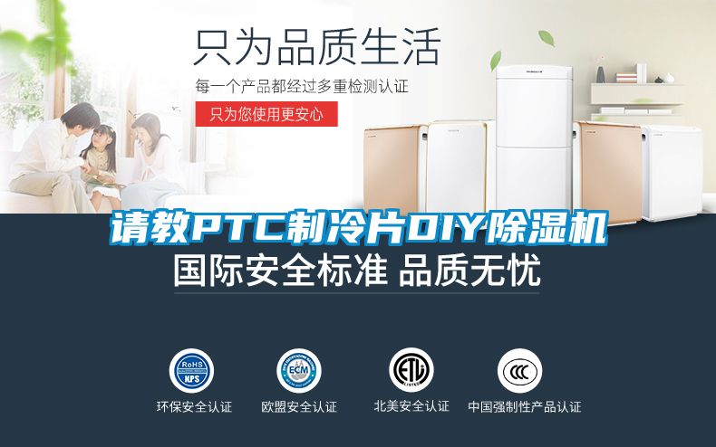请教PTC制冷片DIY精品一区二区三区水蜜桃