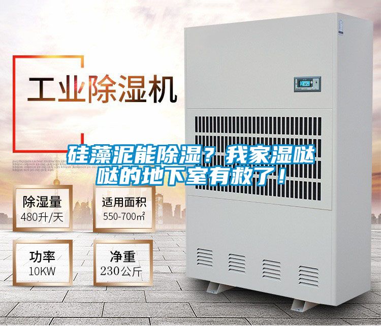 硅藻泥能除湿？我家湿哒哒的地下室有救了！