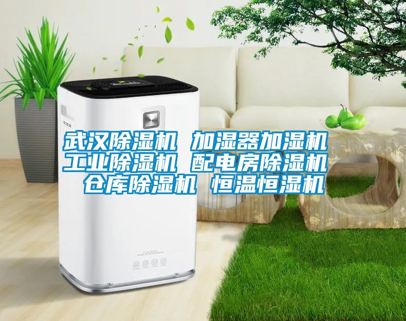 武汉精品一区二区三区水蜜桃 加湿器加湿机 工业精品一区二区三区水蜜桃 配电房精品一区二区三区水蜜桃 仓库精品一区二区三区水蜜桃 恒温恒湿机