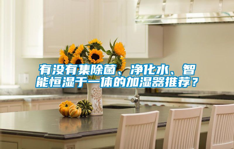 有没有集除菌、净化水、智能恒湿于一体的加湿器推荐？