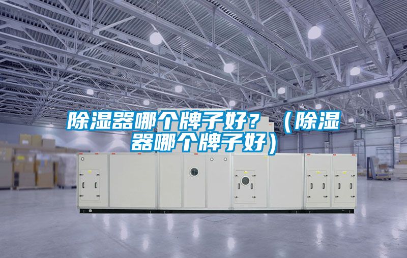 除湿器哪个牌子好？（除湿器哪个牌子好）