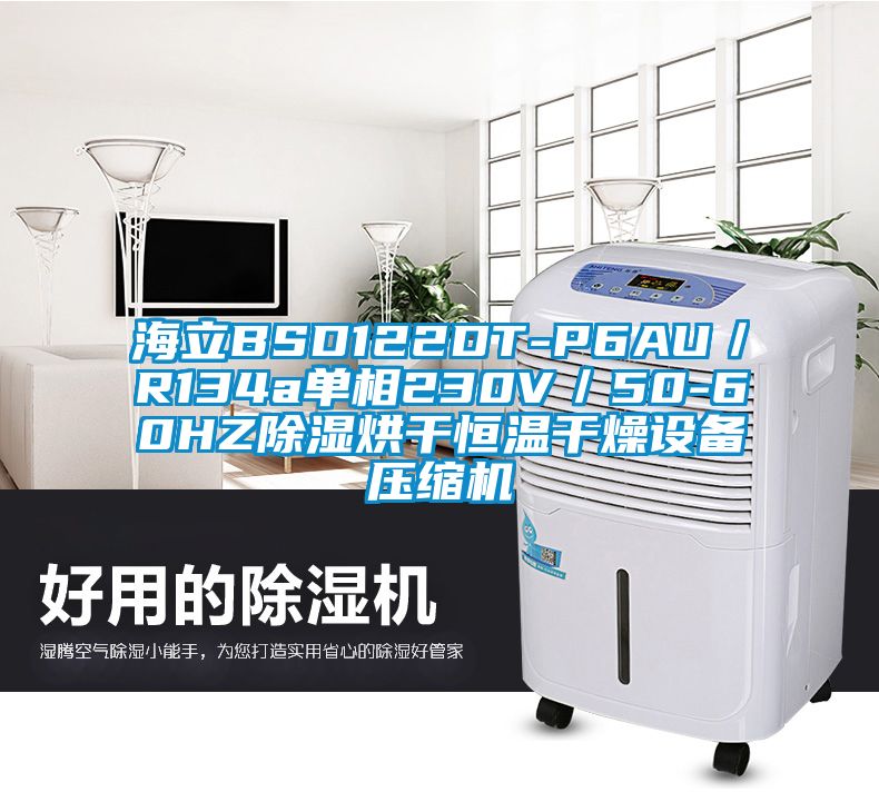 海立BSD122DT-P6AU/R134a单相230V/50-60HZ除湿烘干恒温干燥设备压缩机