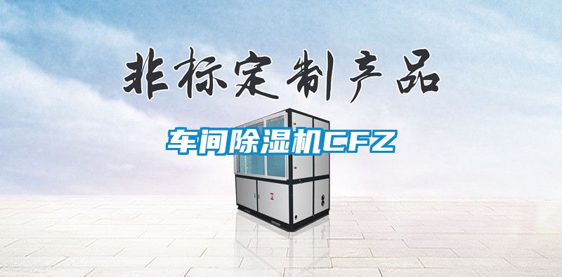 车间精品一区二区三区水蜜桃CFZ