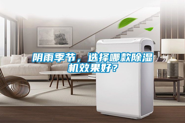 阴雨季节，选择哪款精品一区二区三区水蜜桃效果好？