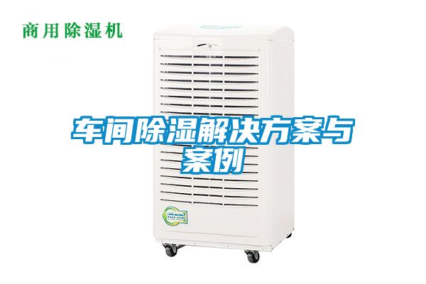 车间除湿水蜜桃入口网页污与案例