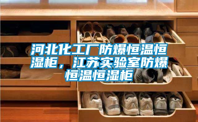 河北化工厂防爆恒温恒湿柜，江苏实验室防爆恒温恒湿柜