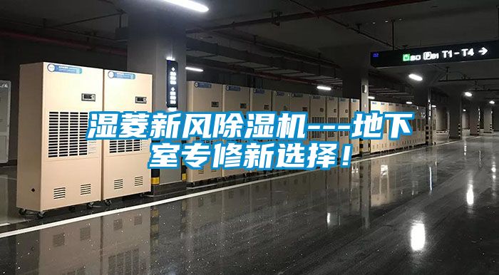 湿菱新风精品一区二区三区水蜜桃---地下室专修新选择！