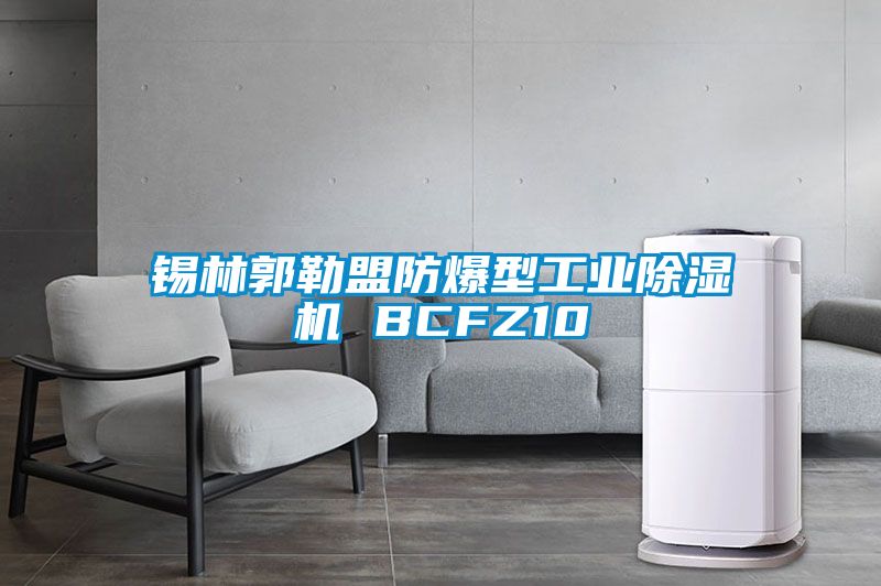 锡林郭勒盟防爆型工业精品一区二区三区水蜜桃 BCFZ10