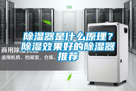 除湿器是什么原理？除湿效果好的除湿器推荐
