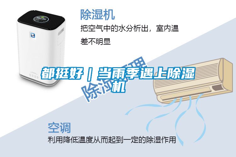 都挺好｜当雨季遇上精品一区二区三区水蜜桃