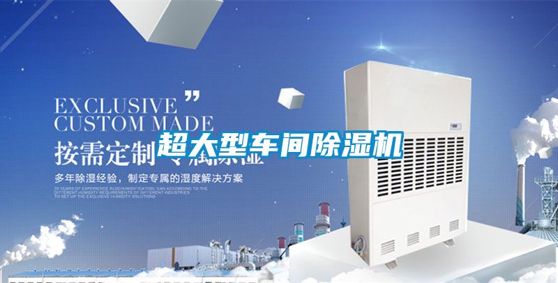 超大型车间精品一区二区三区水蜜桃