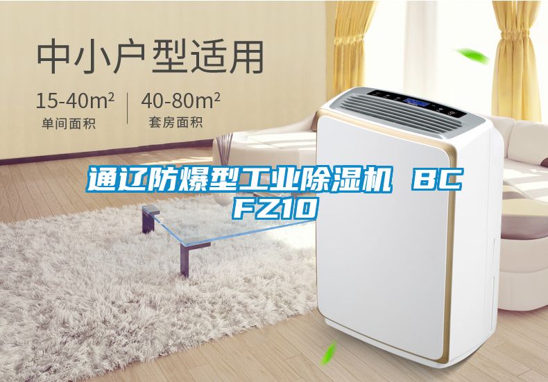 通辽防爆型工业精品一区二区三区水蜜桃 BCFZ10