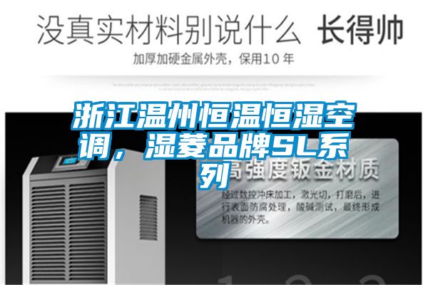 浙江温州恒温恒湿空调，湿菱品牌SL系列