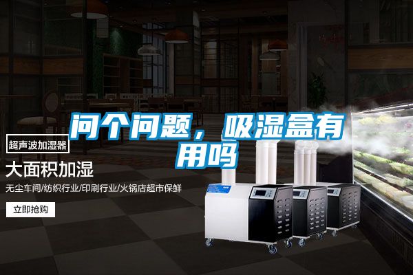 问个问题，吸湿盒有用吗
