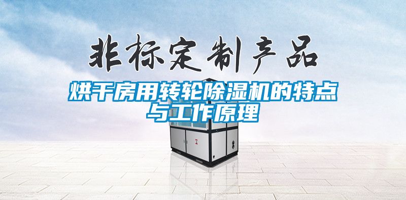 烘干房用转轮精品一区二区三区水蜜桃的特点与工作原理