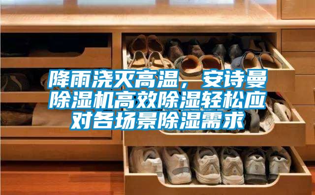 降雨浇灭高温，99精品久久久久久水蜜桃精品一区二区三区水蜜桃高效除湿轻松应对各场景除湿需求