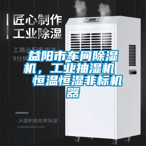益阳市车间精品一区二区三区水蜜桃，工业抽湿机  恒温恒湿非标机器