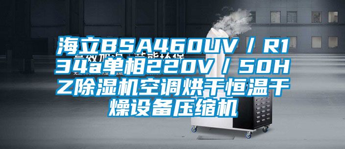 海立BSA460UV／R134a单相220V／50HZ精品一区二区三区水蜜桃空调烘干恒温干燥设备压缩机