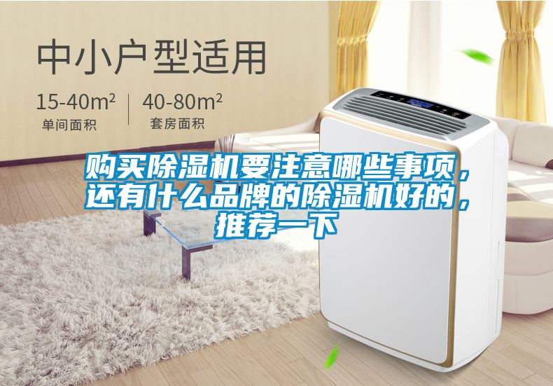 购买精品一区二区三区水蜜桃要注意哪些事项，还有什么品牌的精品一区二区三区水蜜桃好的，推荐一下