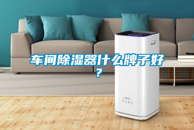 车间除湿器什么牌子好？
