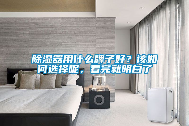 除湿器用什么牌子好？该如何选择呢，看完就明白了