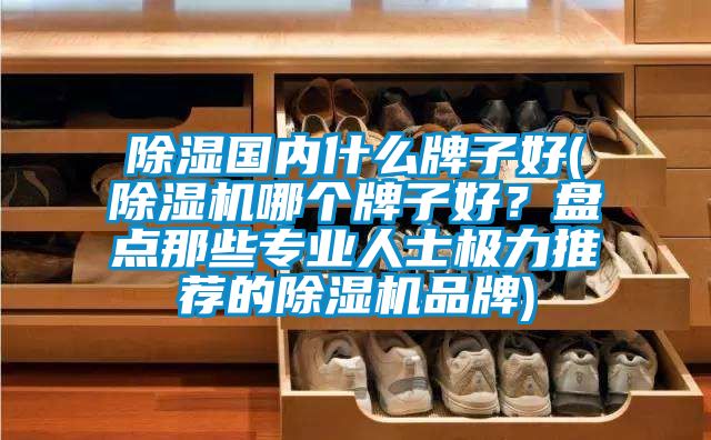 除湿国内什么牌子好(精品一区二区三区水蜜桃哪个牌子好？盘点那些专业人士极力推荐的精品一区二区三区水蜜桃品牌)