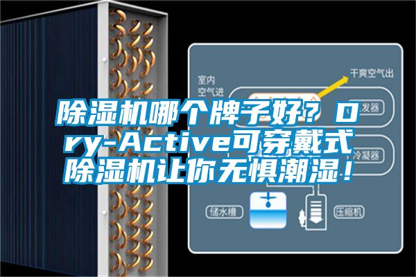 精品一区二区三区水蜜桃哪个牌子好？Dry-Active可穿戴式精品一区二区三区水蜜桃让你无惧潮湿！