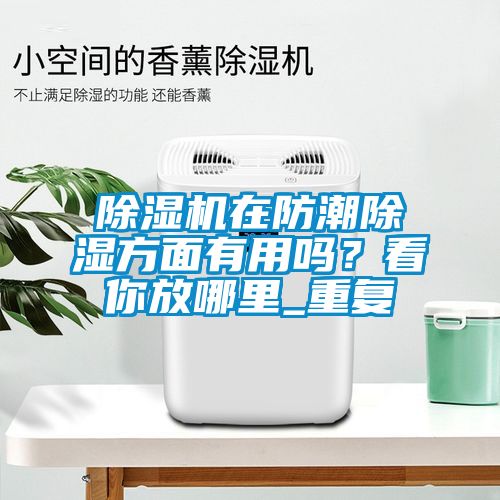精品一区二区三区水蜜桃在防潮除湿方面有用吗？看你放哪里_重复