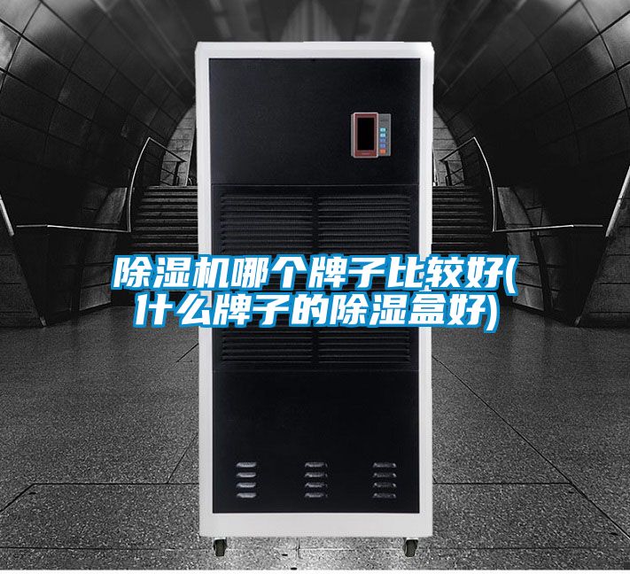 精品一区二区三区水蜜桃哪个牌子比较好(什么牌子的除湿盒好)