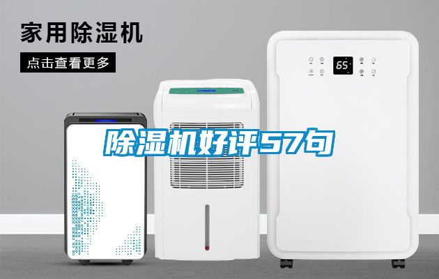 精品一区二区三区水蜜桃好评57句