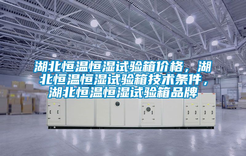 湖北恒温恒湿试验箱价格，湖北恒温恒湿试验箱技术条件，湖北恒温恒湿试验箱品牌