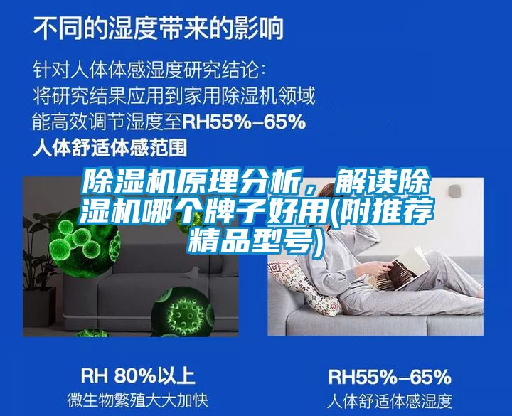 精品一区二区三区水蜜桃原理分析，解读精品一区二区三区水蜜桃哪个牌子好用(附推荐精品型号)