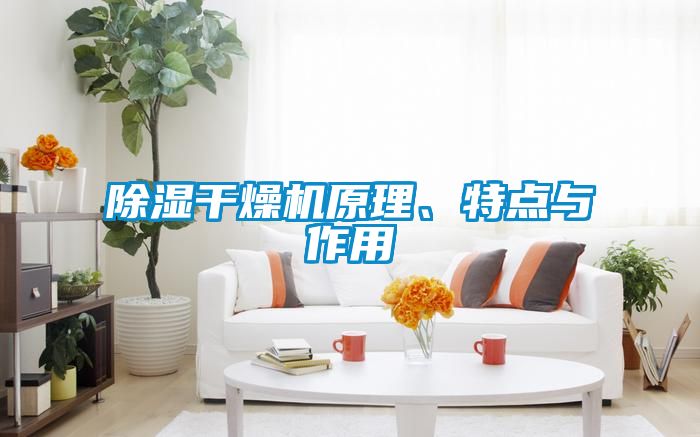 除湿干燥机原理、特点与作用