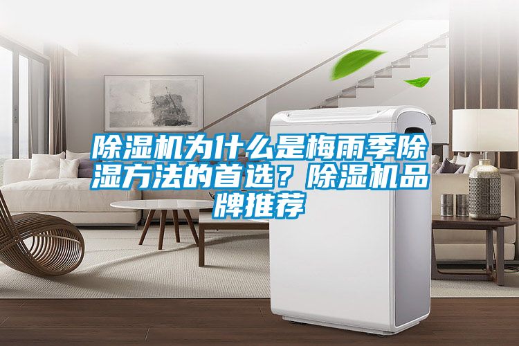 精品一区二区三区水蜜桃为什么是梅雨季除湿方法的首选？精品一区二区三区水蜜桃品牌推荐