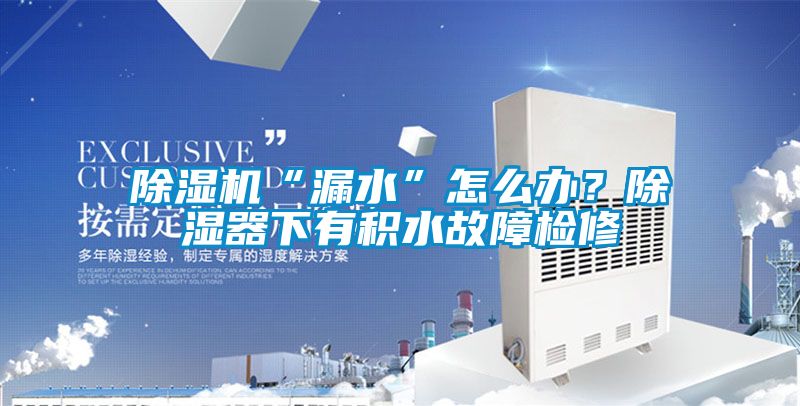 精品一区二区三区水蜜桃“漏水”怎么办？除湿器下有积水故障检修