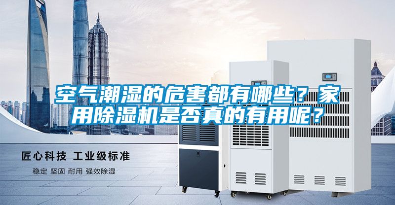 空气潮湿的危害都有哪些？家用精品一区二区三区水蜜桃是否真的有用呢？